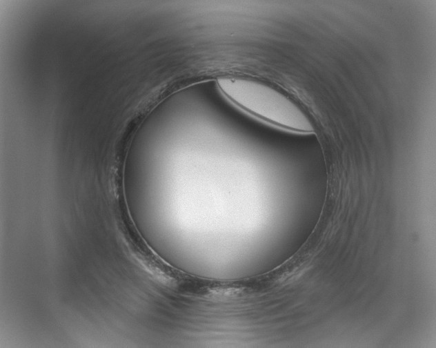 X0000076260450200609281024