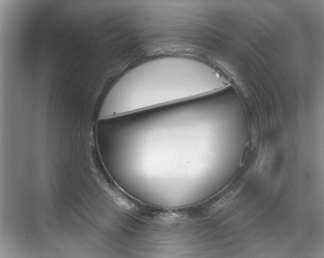 X0000076260453200609281024