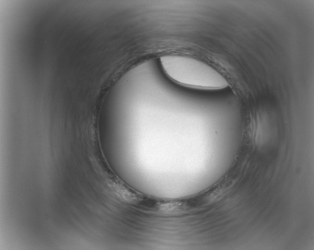 X0000076260461200609281024