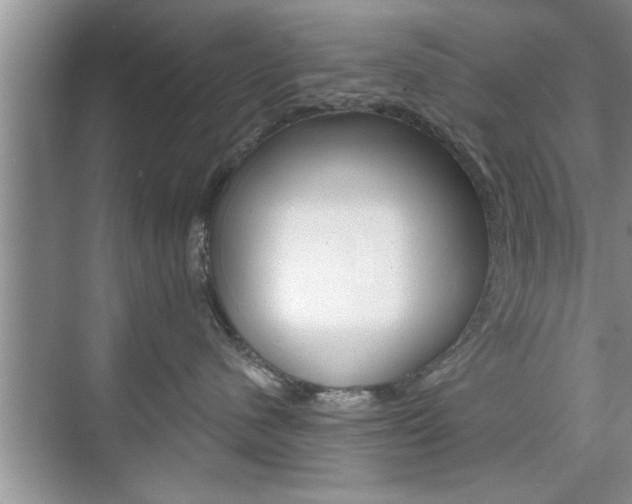 X0000076260480200609281024