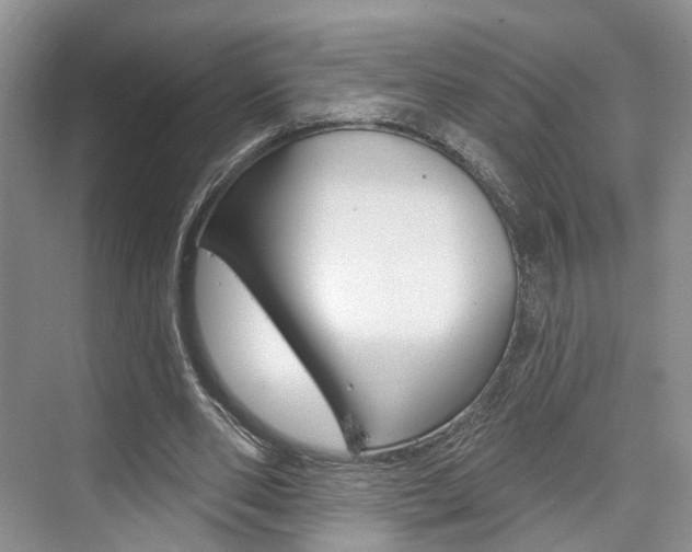 X0000076260486200609281024