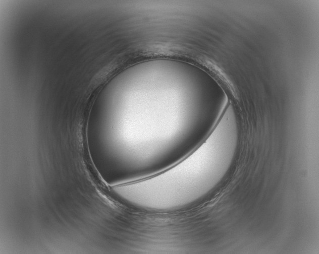 X0000076260489200609281023