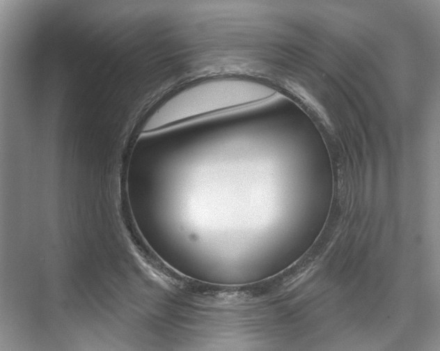 X0000076260493200609281023