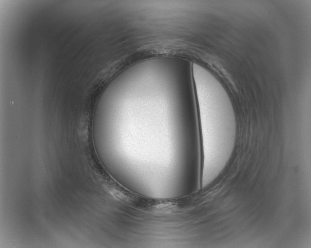 X0000076260505200609281023