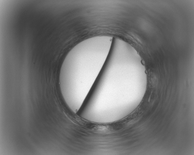 X0000076260507200609281023