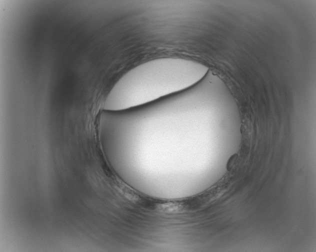 X0000076260511200609281023