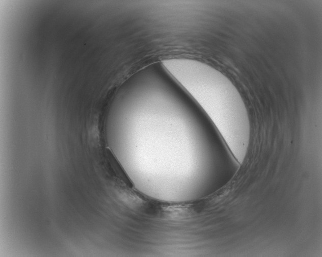 X0000076260516200609281023