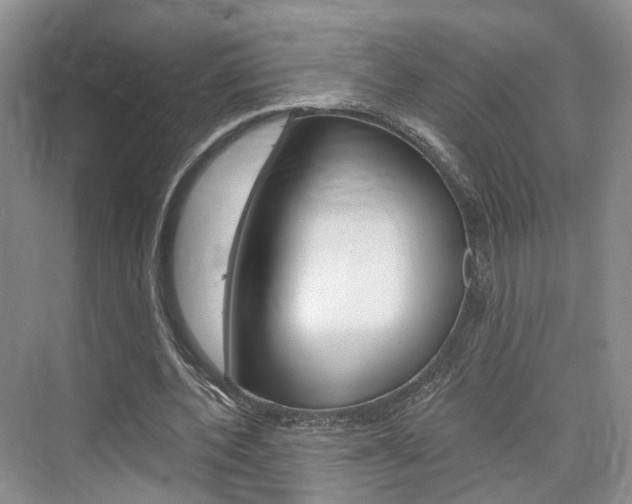 X0000076260532200609281022