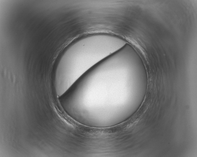 X0000076260533200609281022
