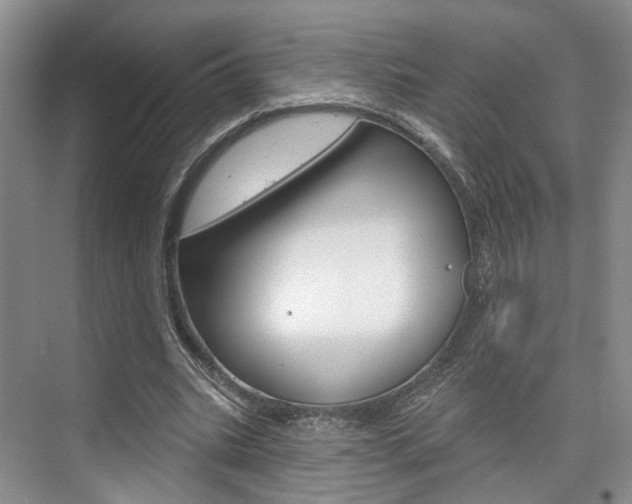 X0000076260535200609281022