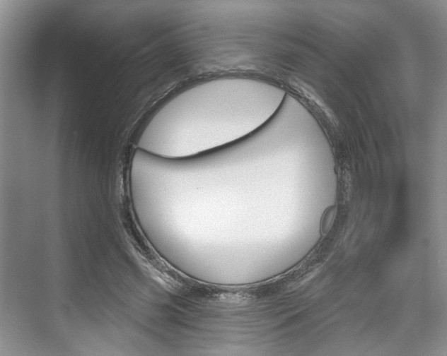 X0000076260541200609281022