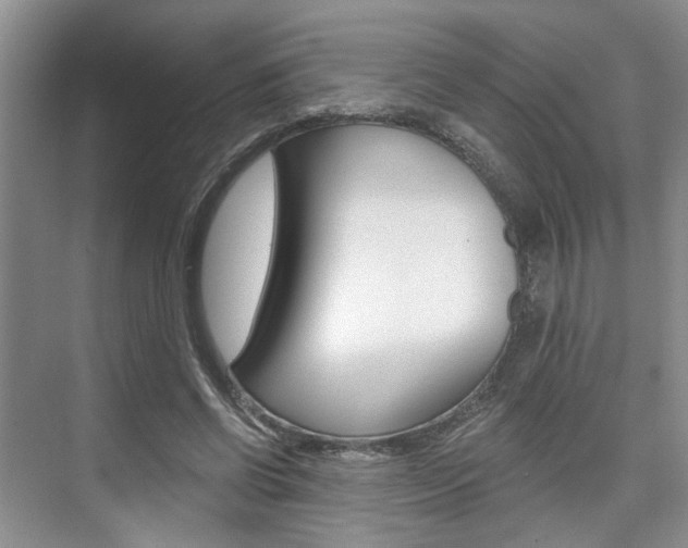 X0000076260542200609281022