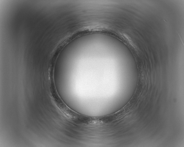 X0000076260543200609281022