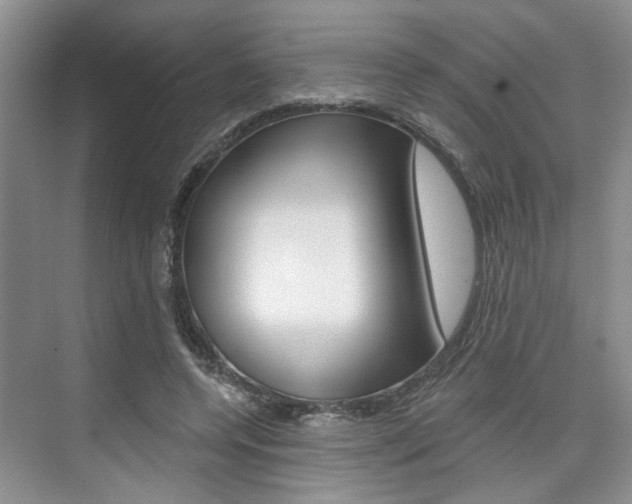 X0000076260544200609281022