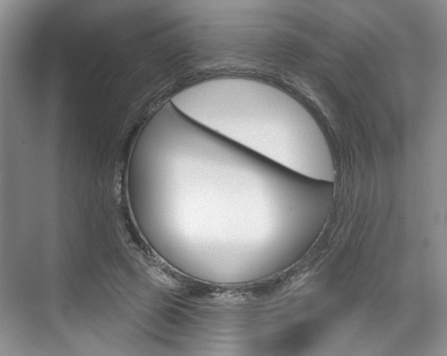 X0000076260545200609281022
