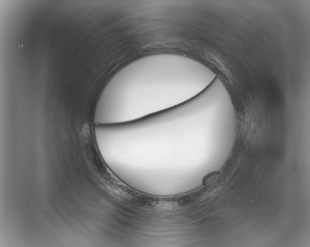 X0000076260549200609281022