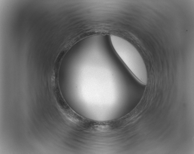 X0000076260552200609281022