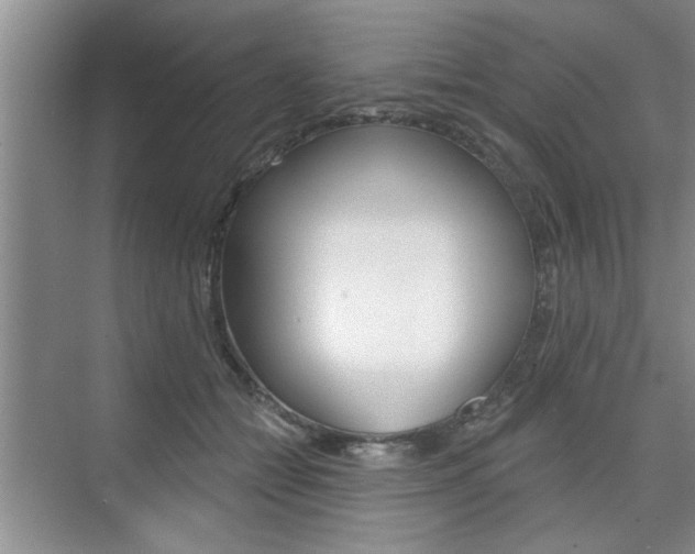 X0000076260558200609281023
