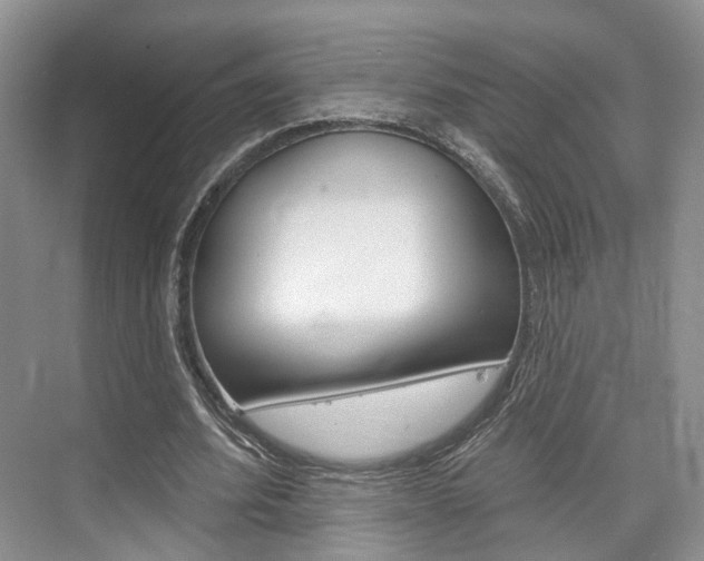X0000076260580200609281022