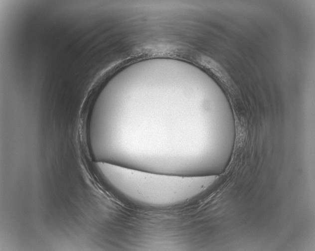X0000076260583200609281022