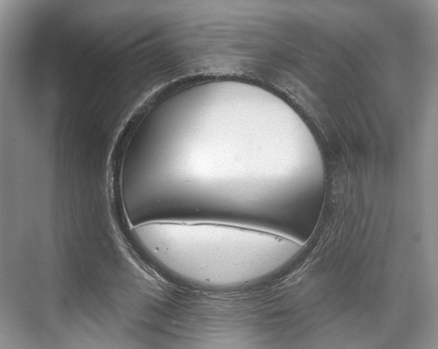 X0000076260584200609281022