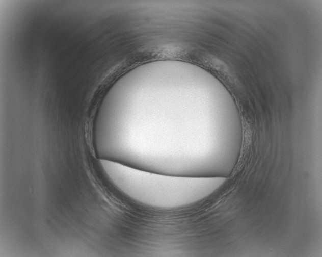 X0000076260591200609281022