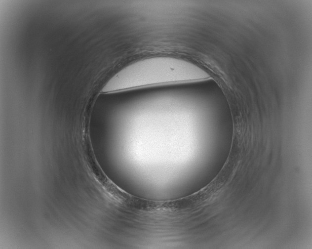 X0000076260593200609281022