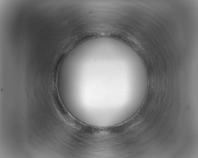 X0000076260594200609281022