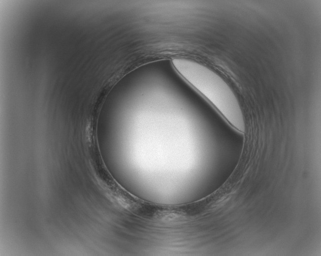 X0000076260597200609281022