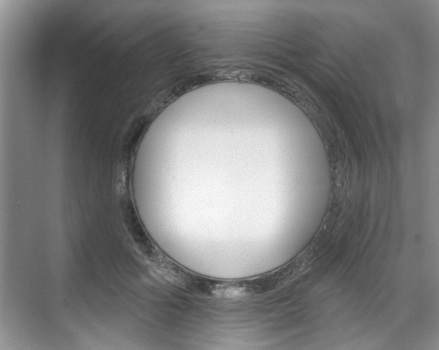 X0000076260602200609281022