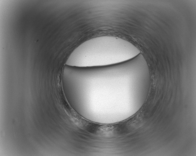 X0000076260606200609281022