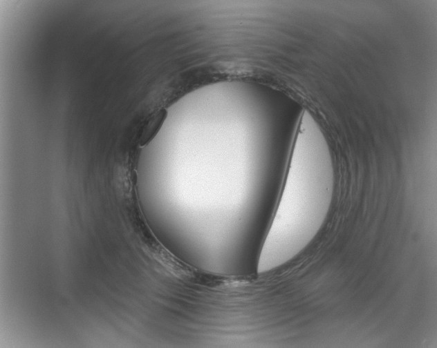 X0000076260609200609281021