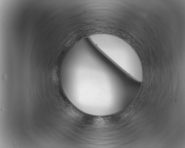 X0000076260616200609281021