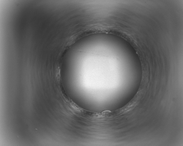 X0000076260624200609281021