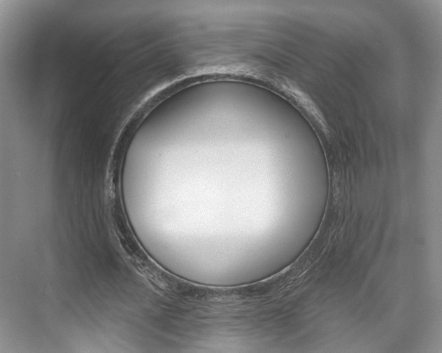 X0000076260628200609281020