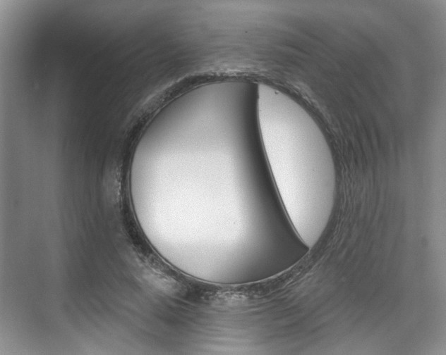 X0000076260640200609281021