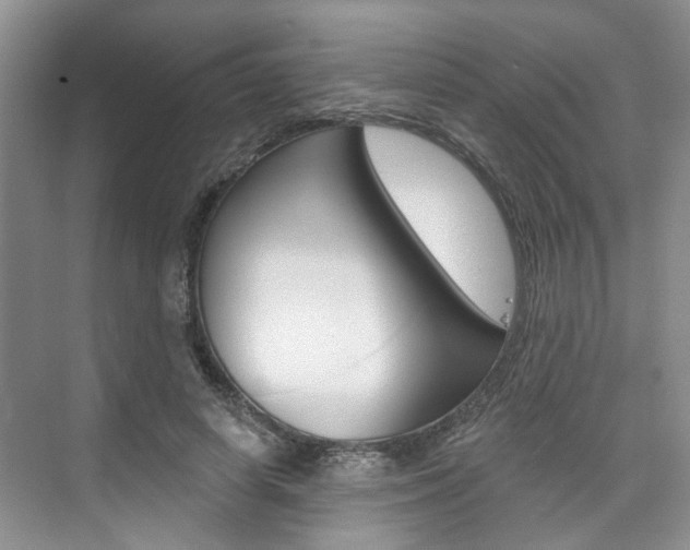 X0000076260642200609281021