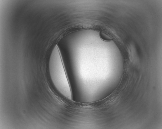 X0000076260645200609281021