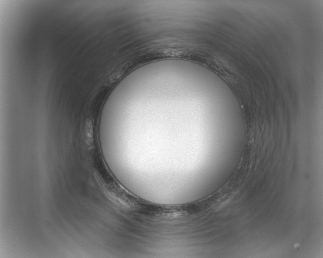 X0000076260646200609281021