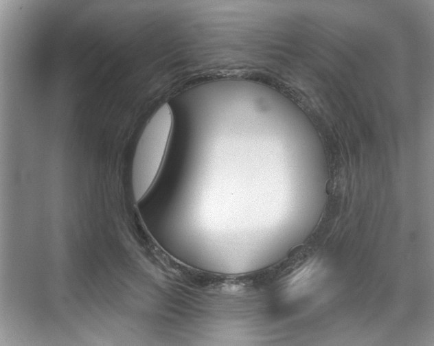 X0000076260647200609281021
