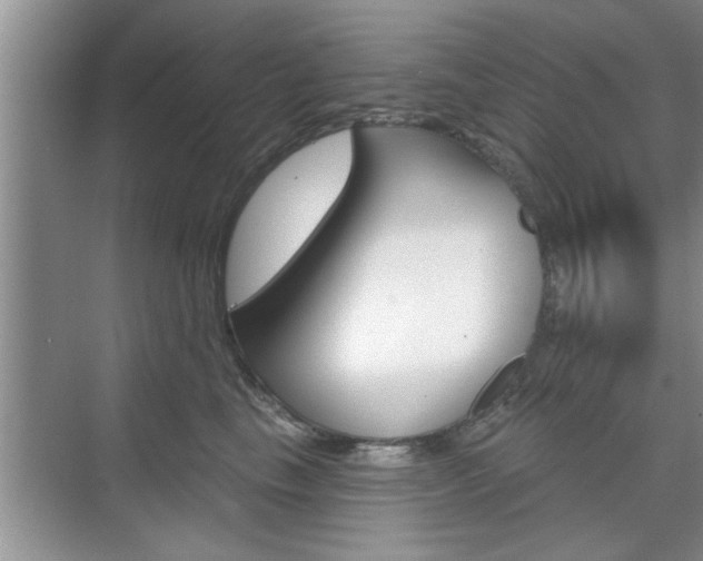 X0000076260665200609281021