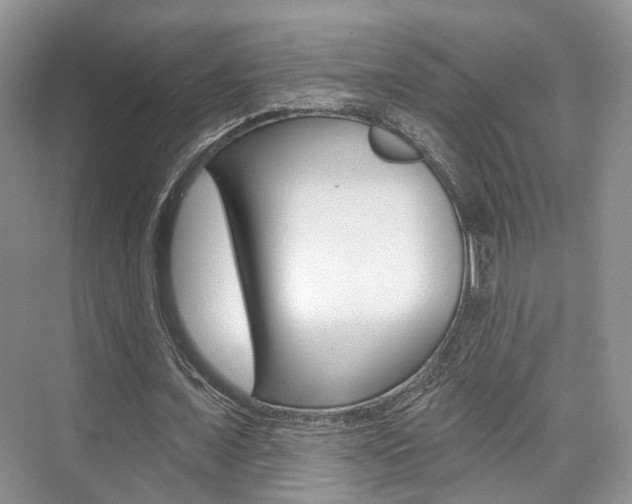 X0000076260675200609281020