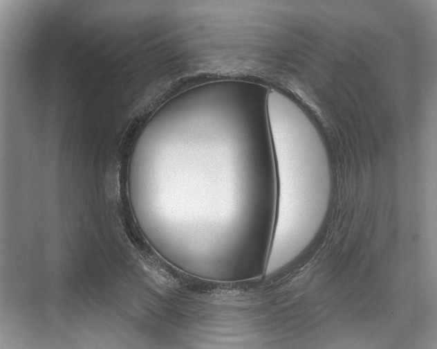 X0000076260685200609281020