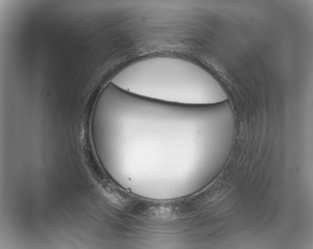 X0000076260687200609281020