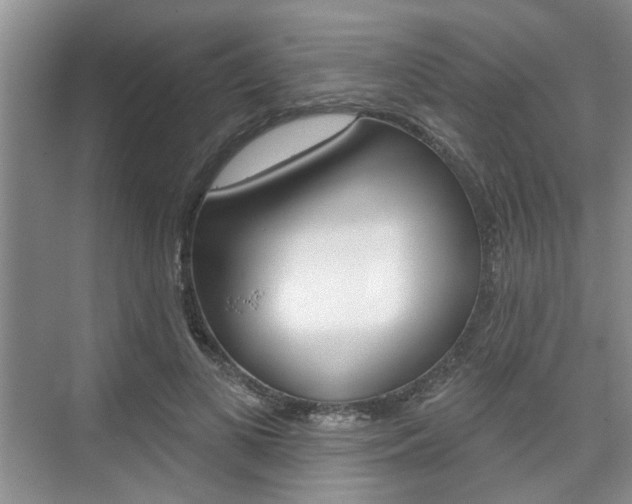 X0000076260693200609281020