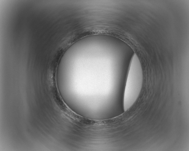 X0000076260696200609281020