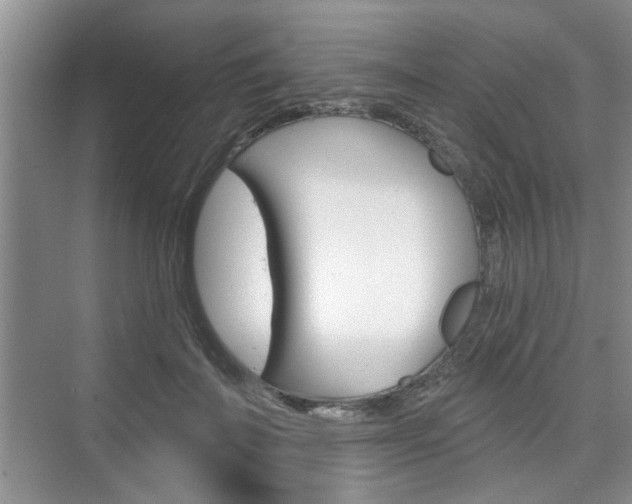 X0000076260699200609281020
