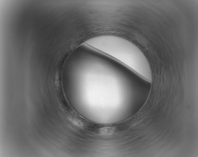 X0000076260700200609281020