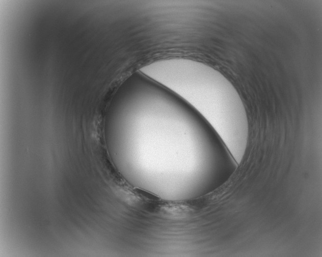 X0000076260712200609281020
