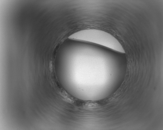 X0000076260716200609281020